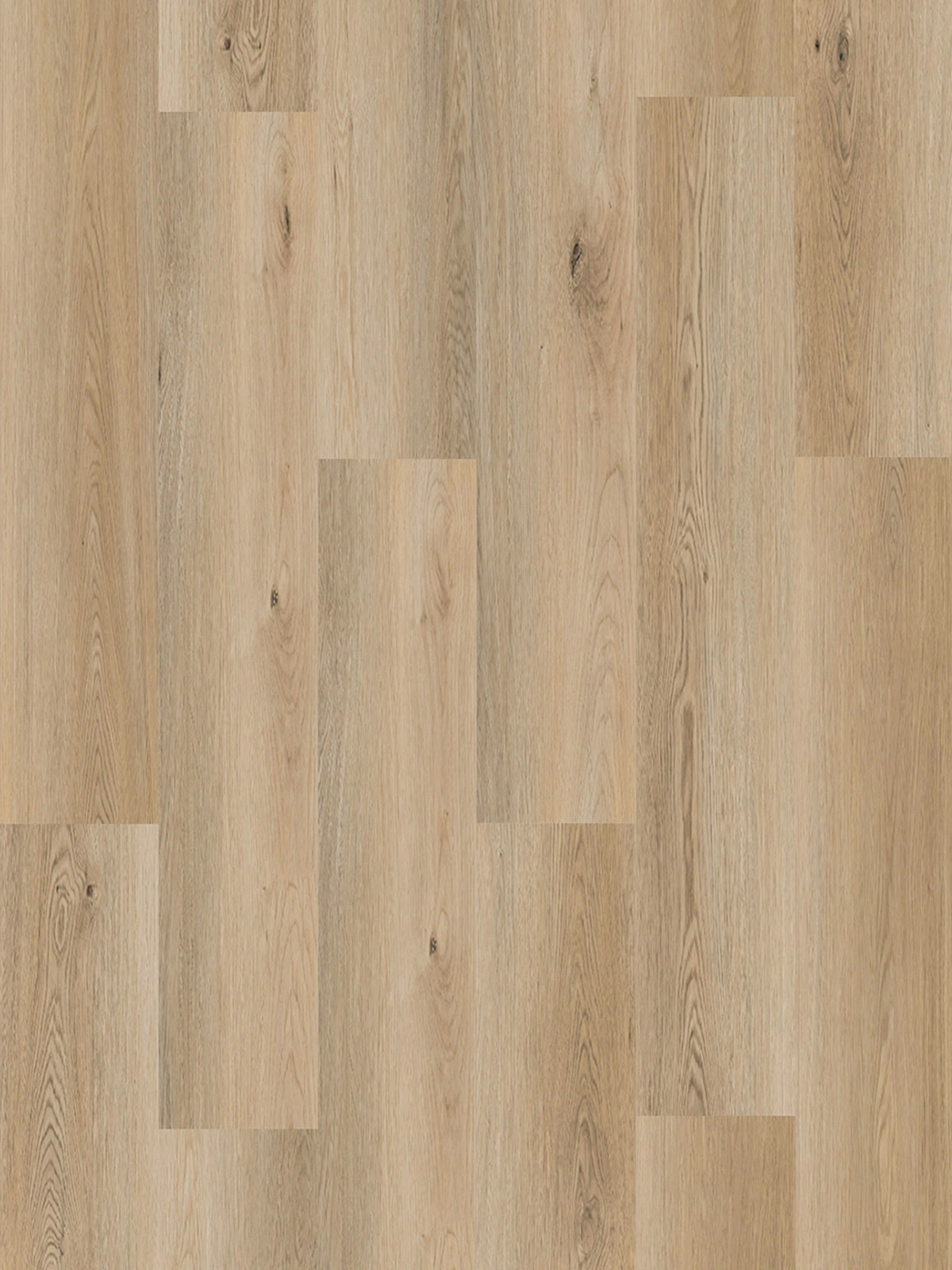 Oat Oak