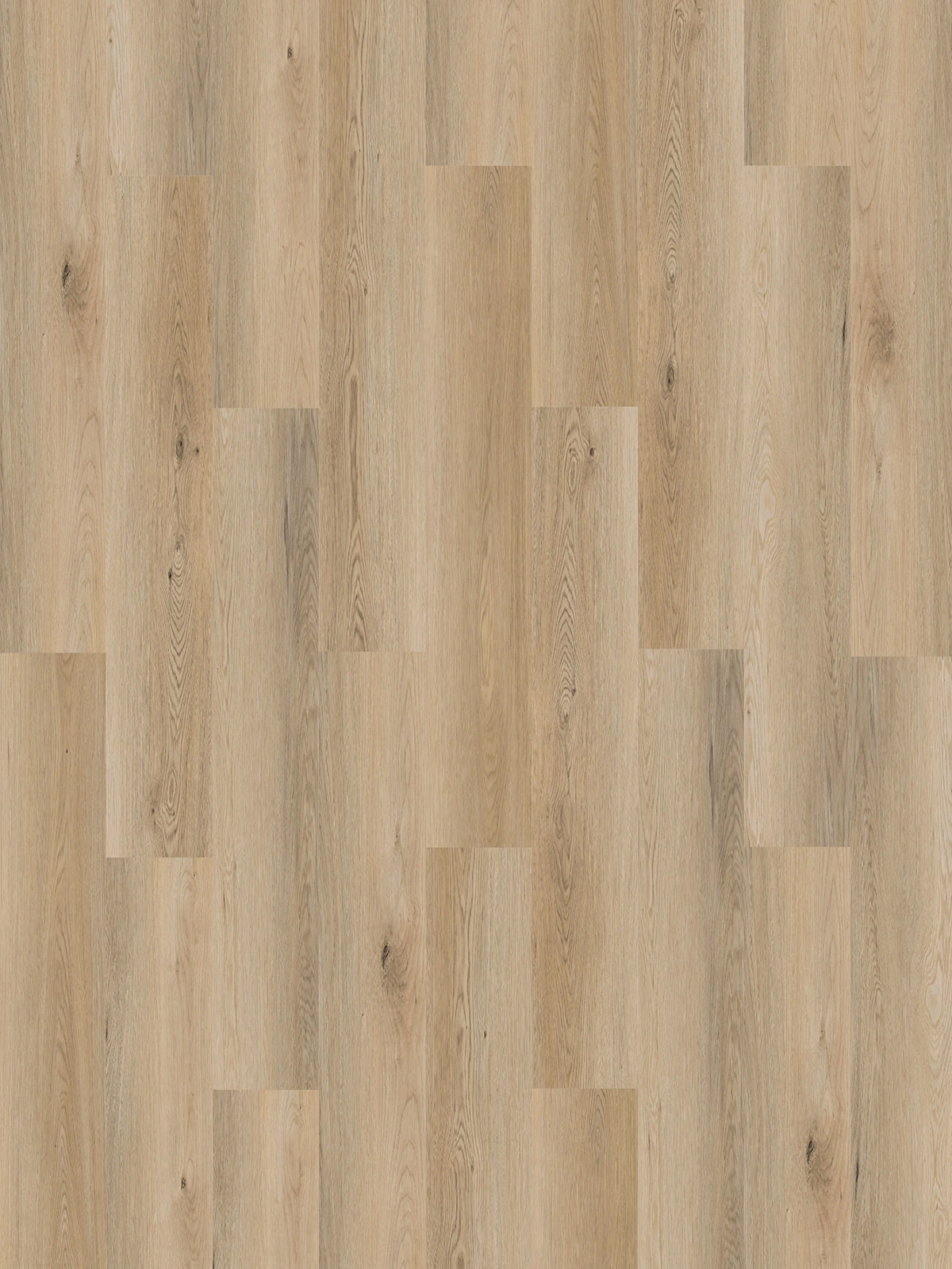 Oat Oak