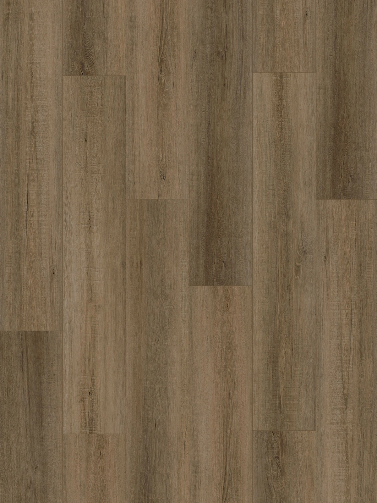 Umber Oak