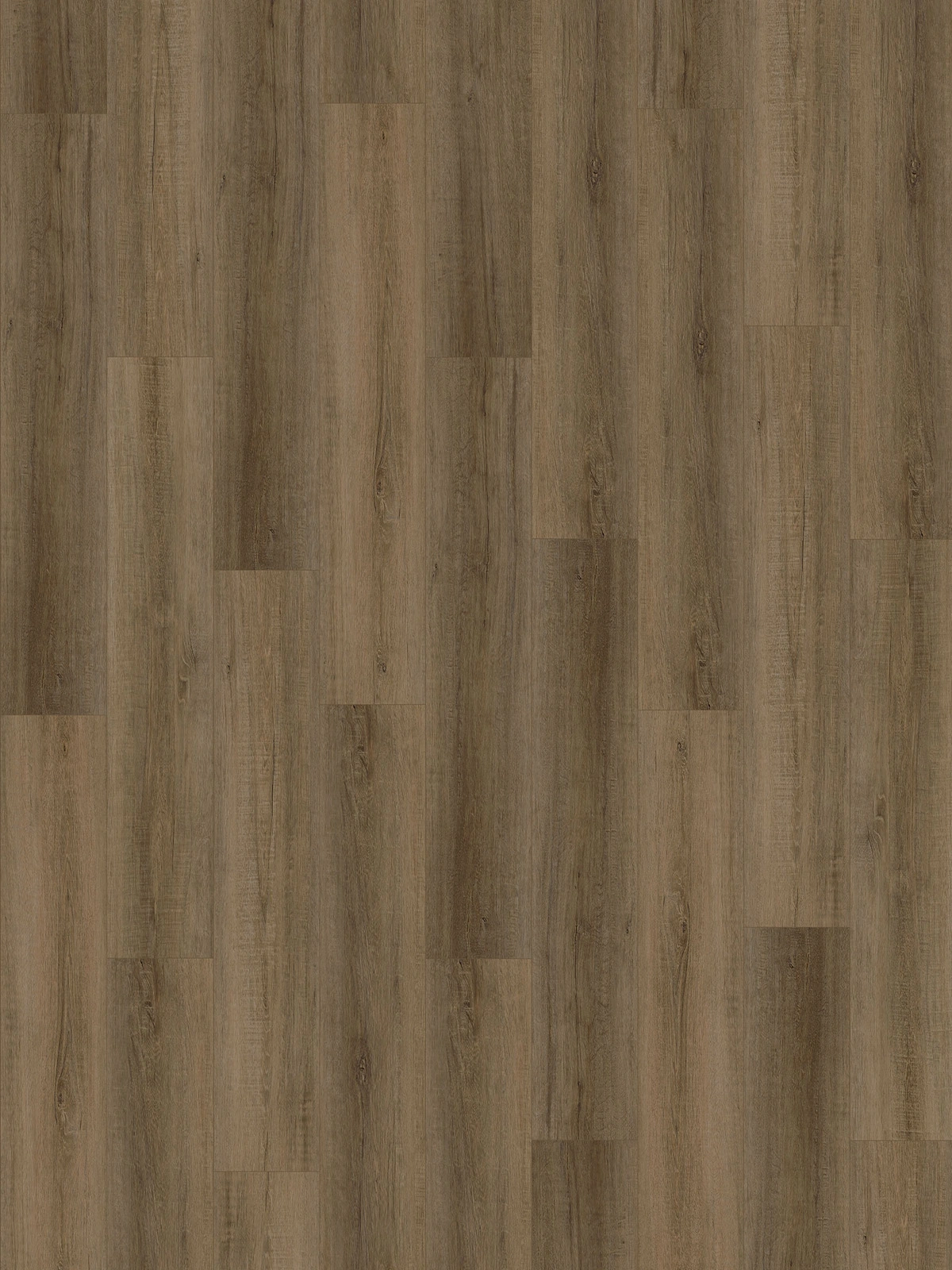 Umber Oak