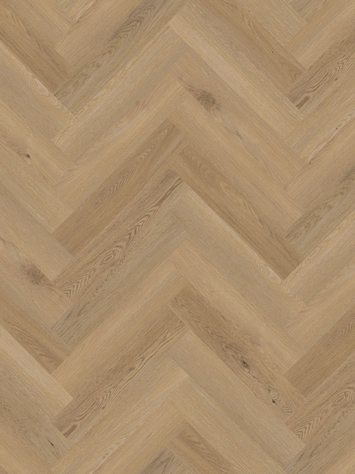 Oat Oak Visgraat