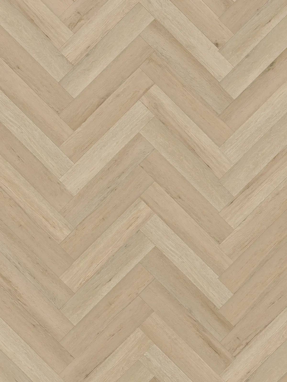 Cotton Oak Visgraat
