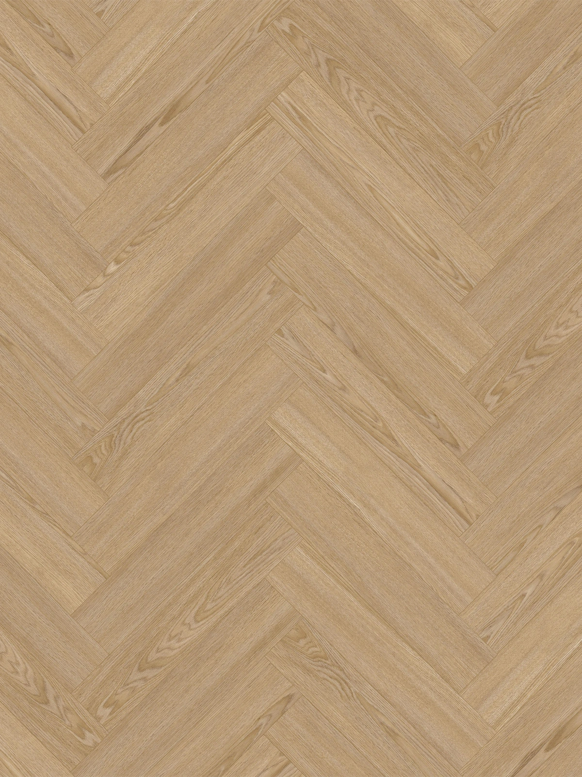 Sand Oak Visgraat