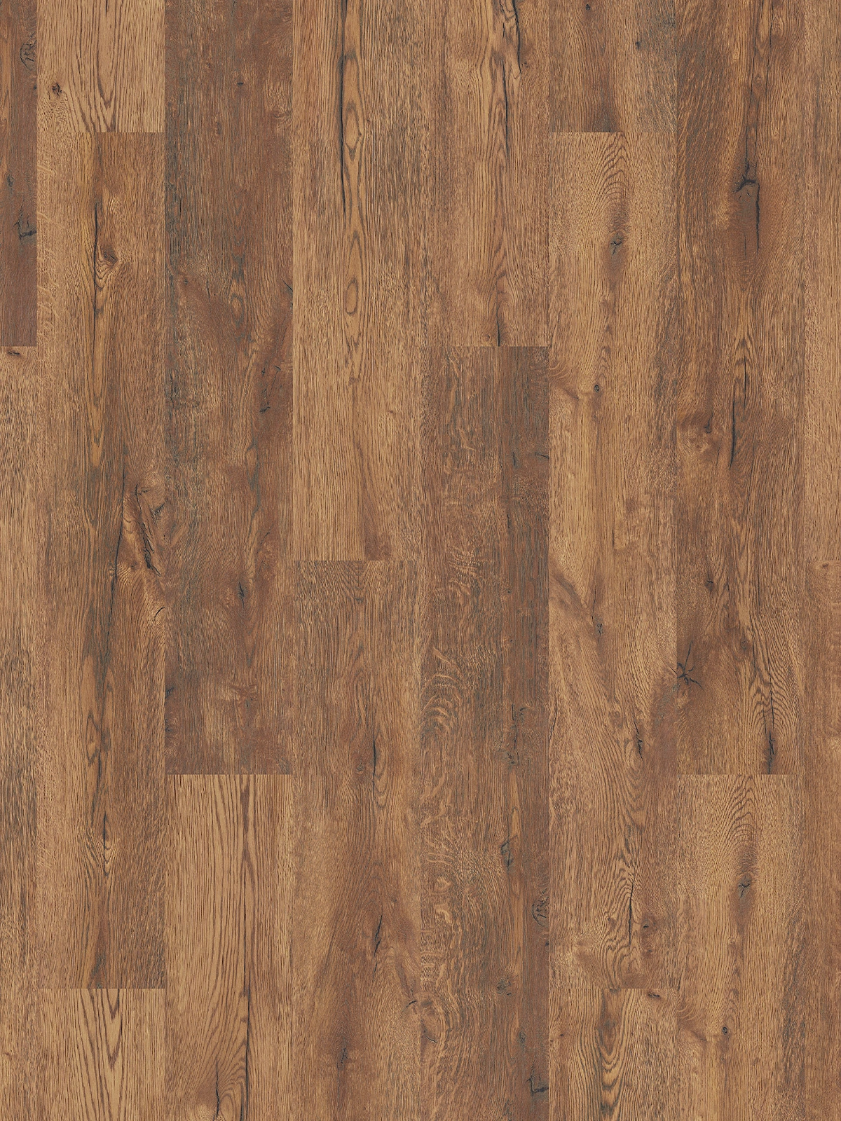 Smugglers Oak K281