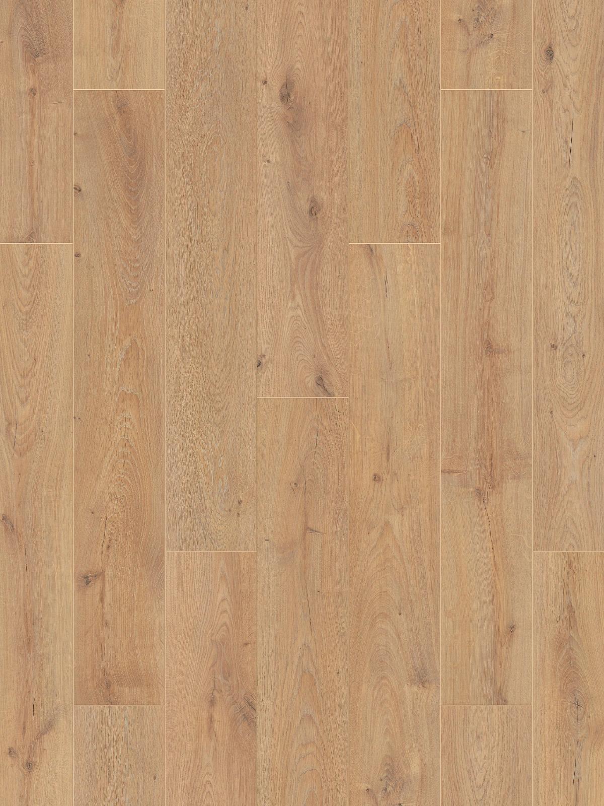 Baronial Oak 5945