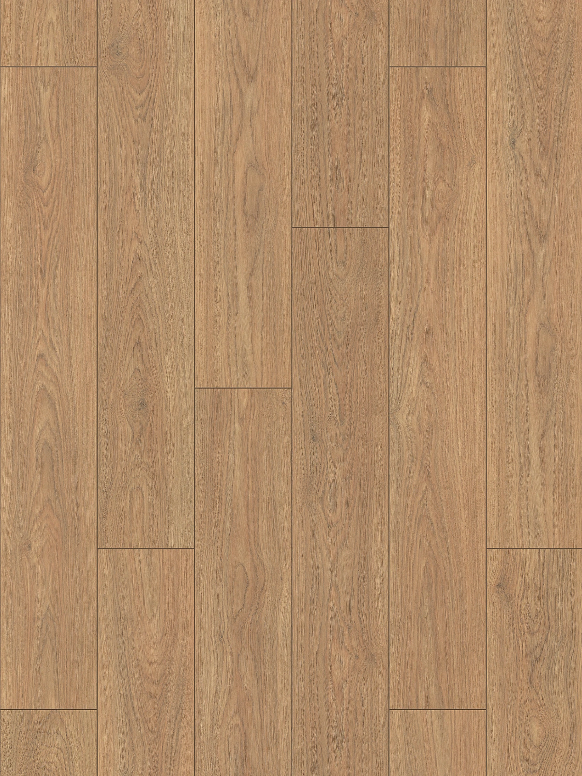 Hazel Almina Oak K645