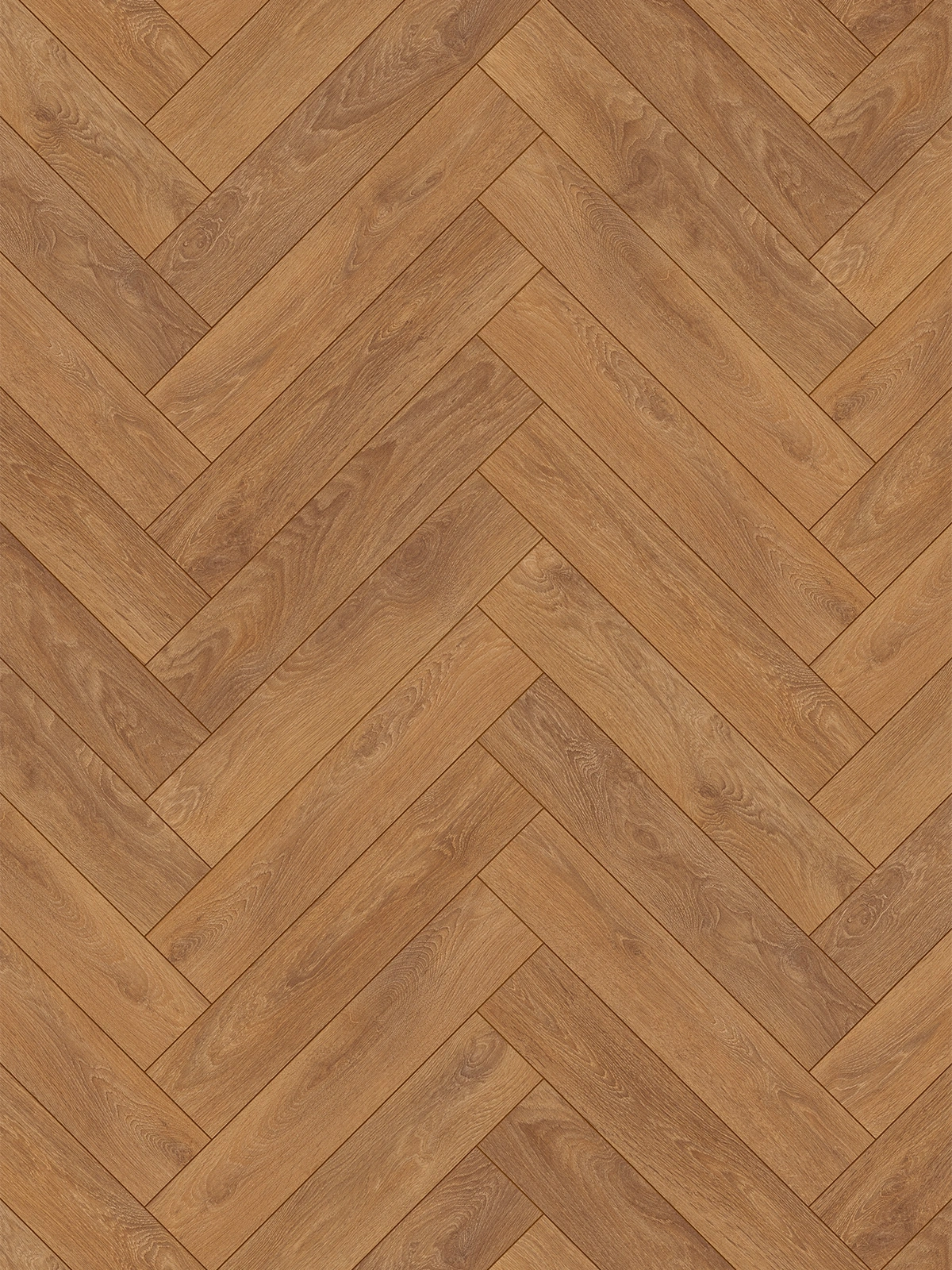 Harlech Oak Visgraat 8573