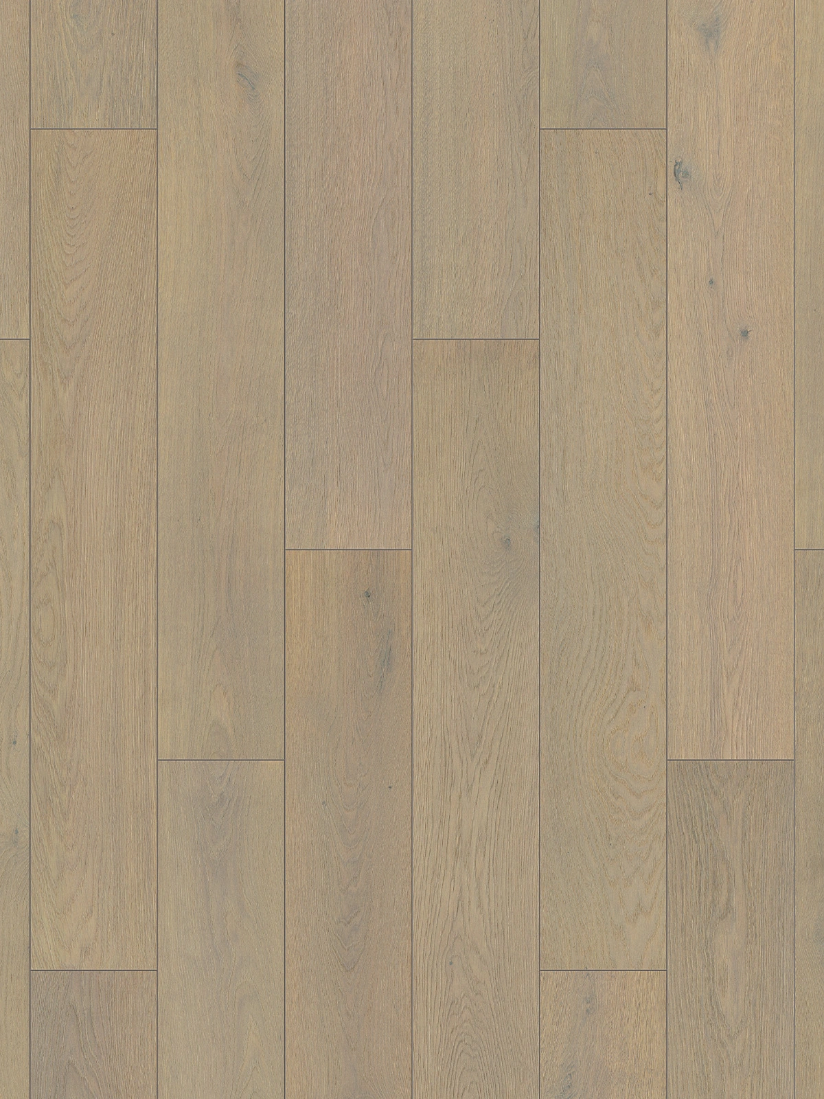 Copper Ethereal Oak K665