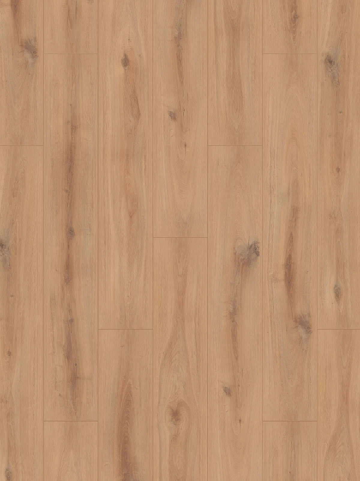 Golden Vista Oak K230