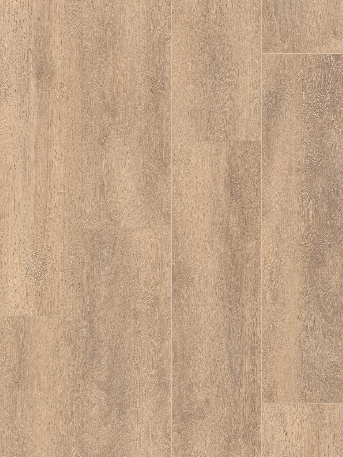 Blonde Oak XL 8575