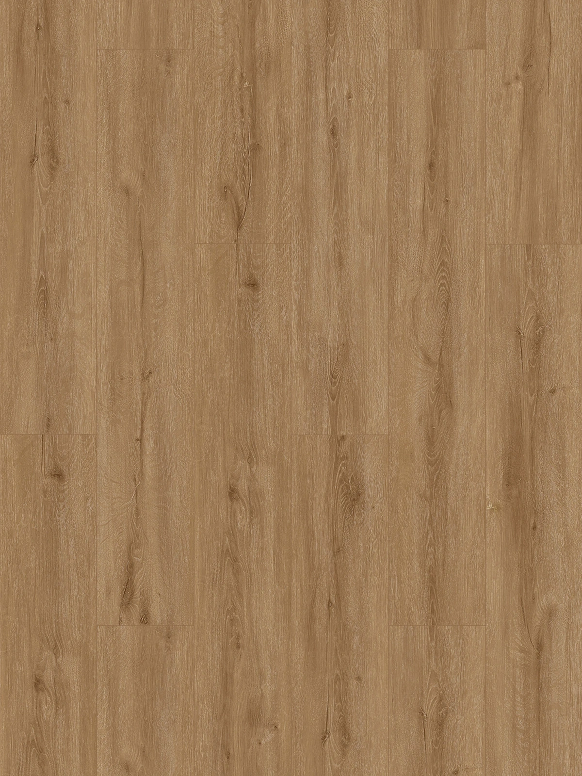 Honey Oak Lite
