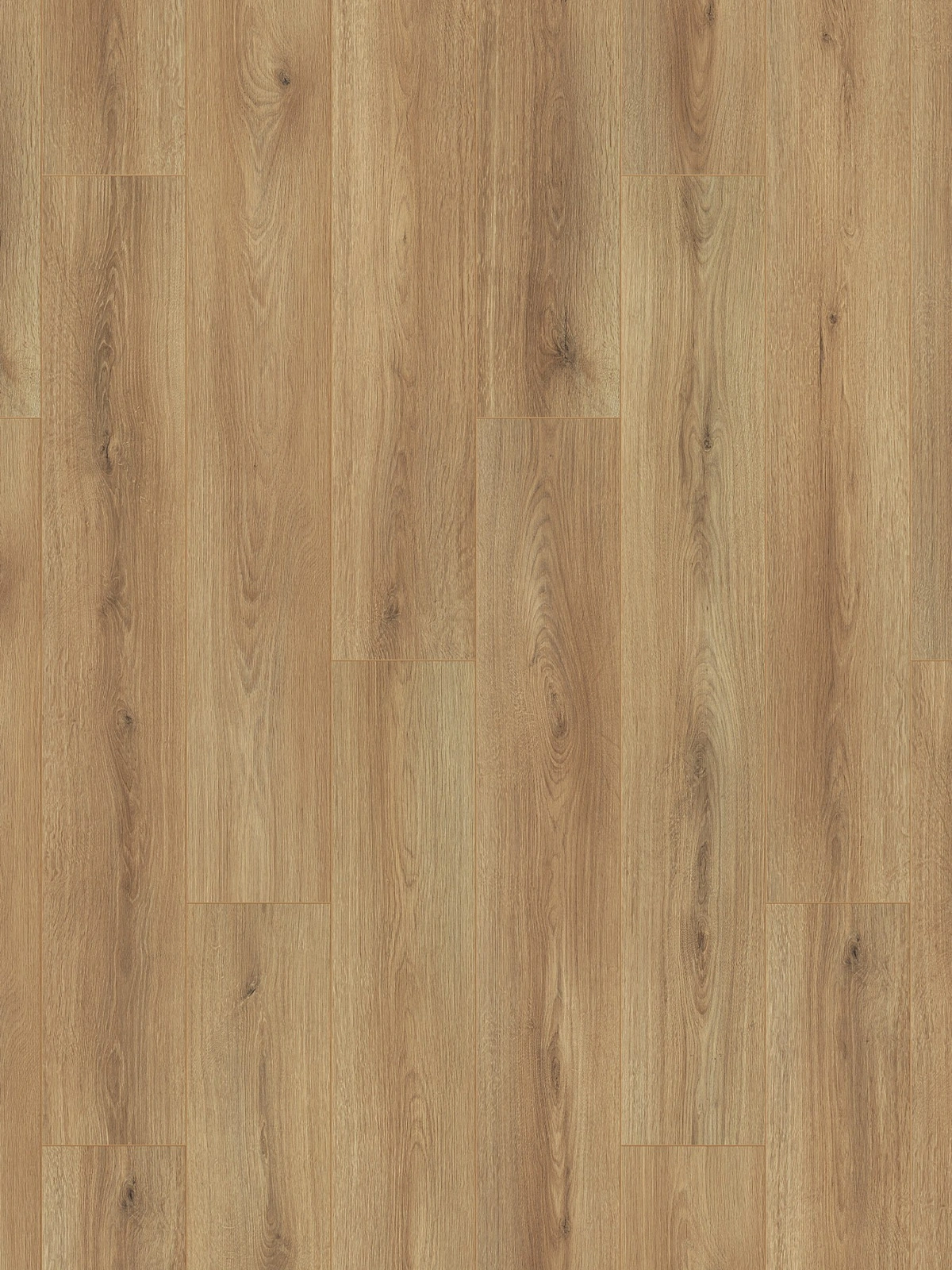 Sand Cantal Oak K654