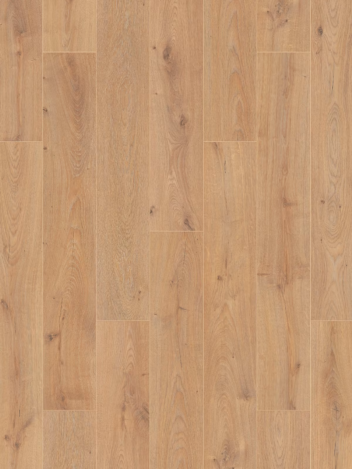 Baronial Oak 5945