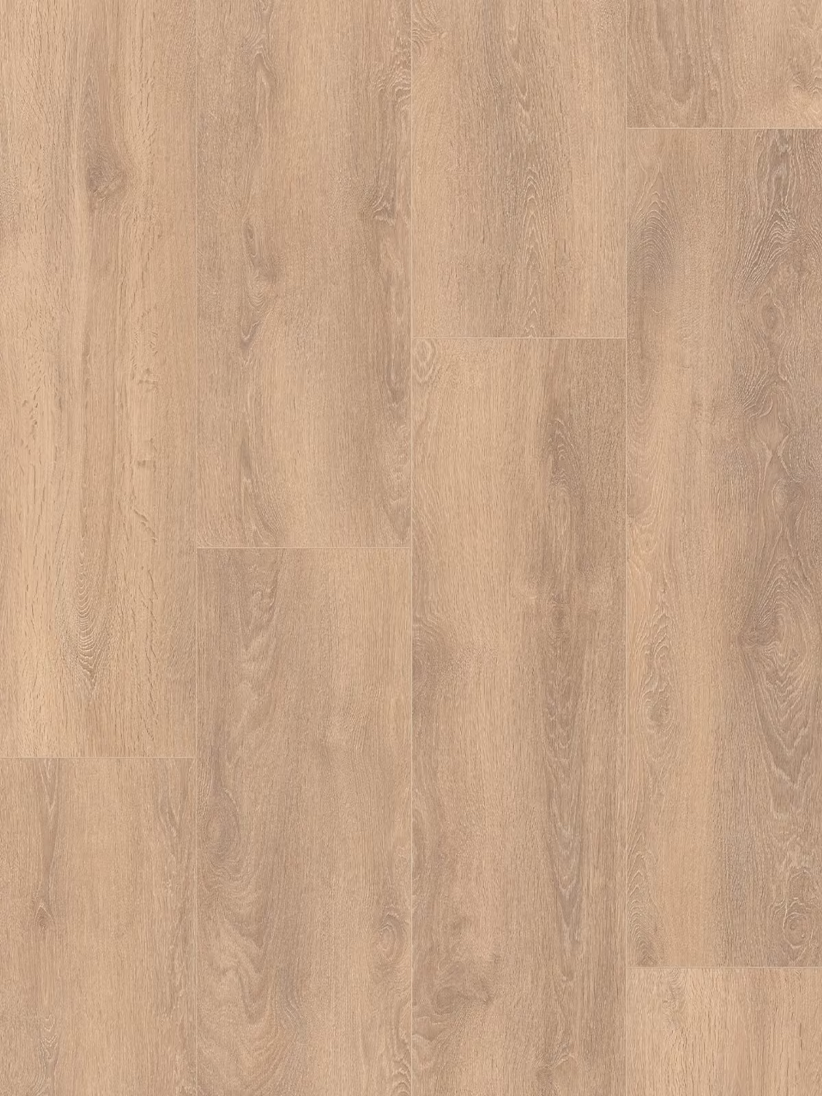 Blonde Oak XL 8575