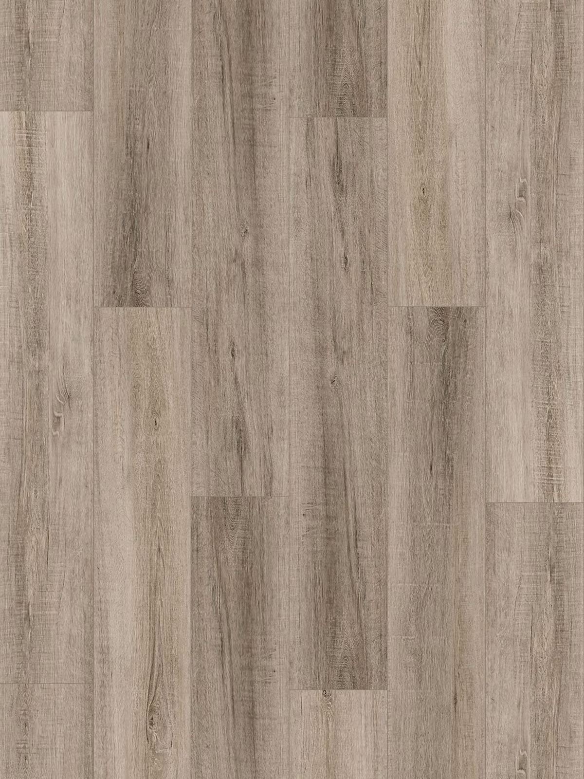 Clay Oak