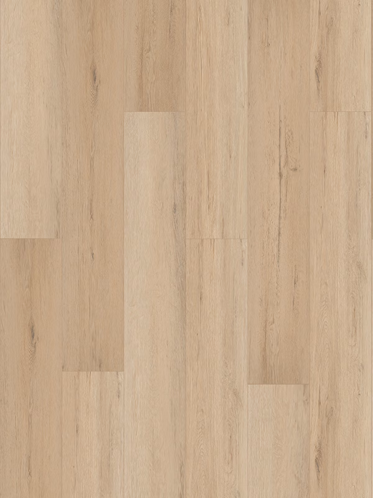 Cotton Oak
