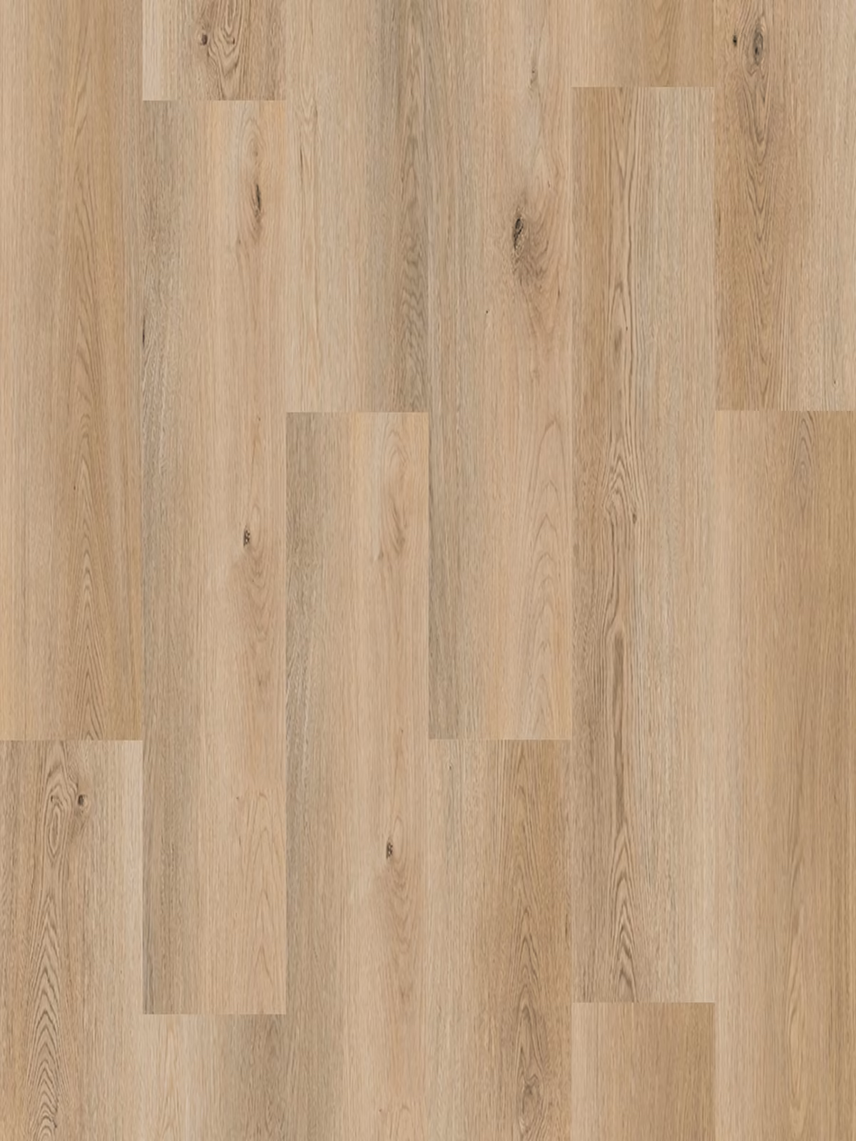 Oat Oak