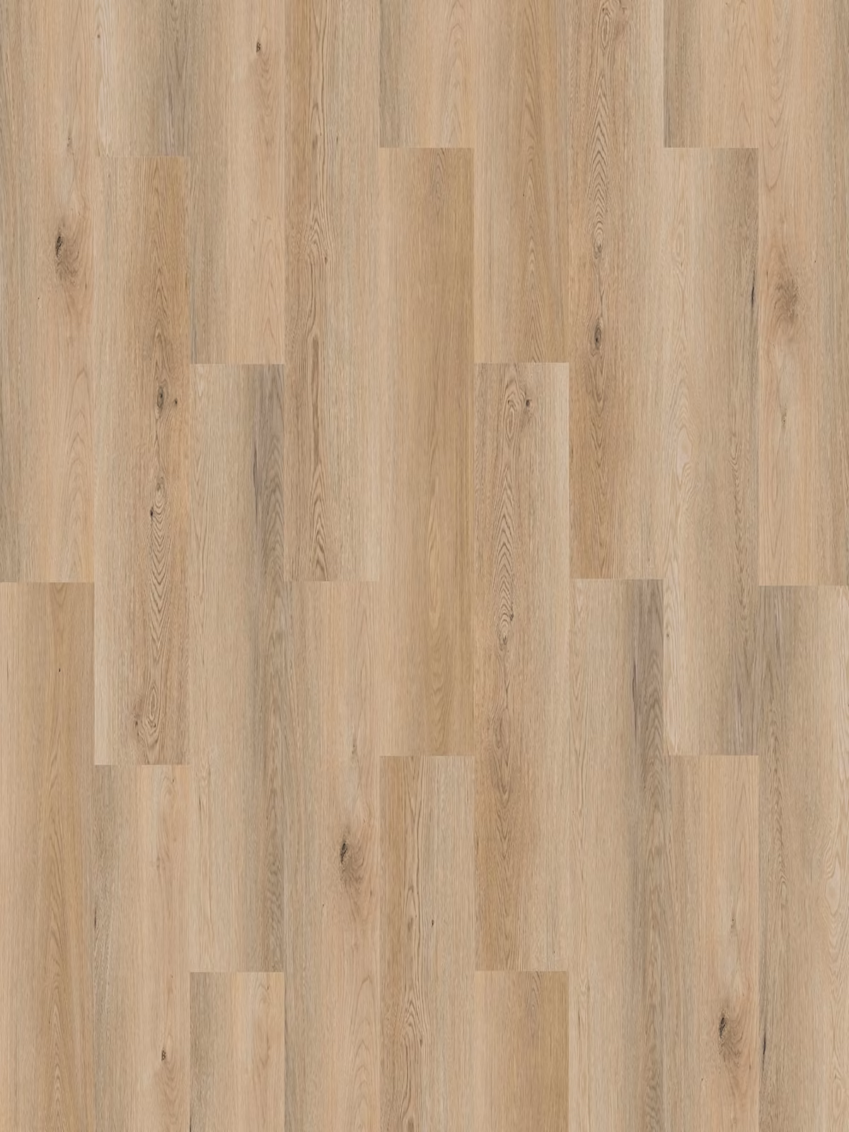 Oat Oak