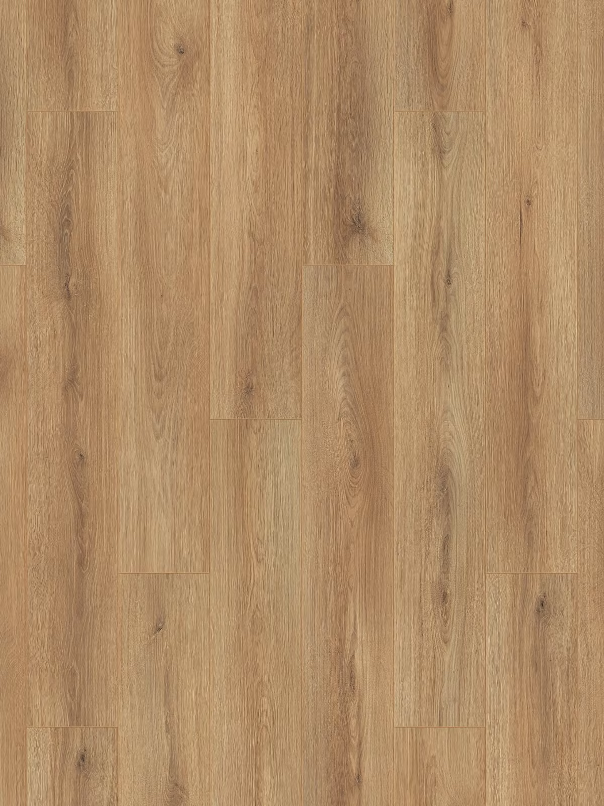 Sand Cantal Oak K654