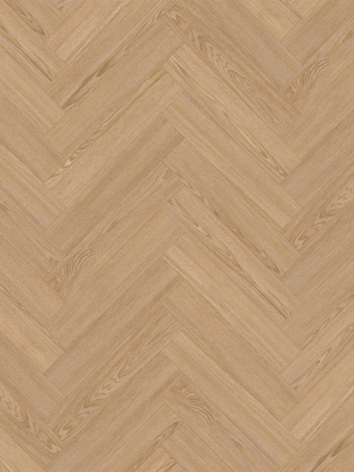Sand Oak Visgraat