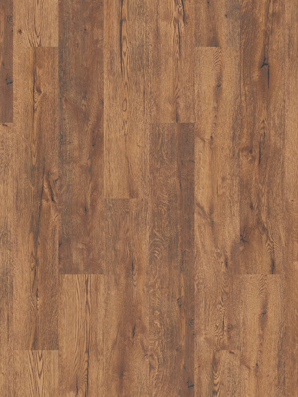 Smugglers Oak K281