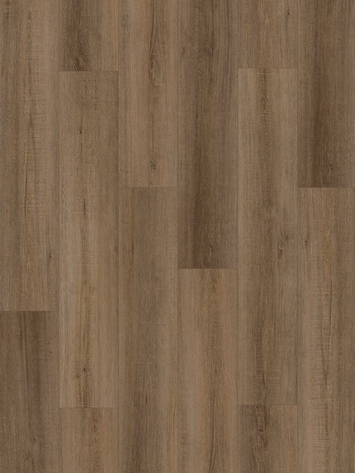 Umber Oak