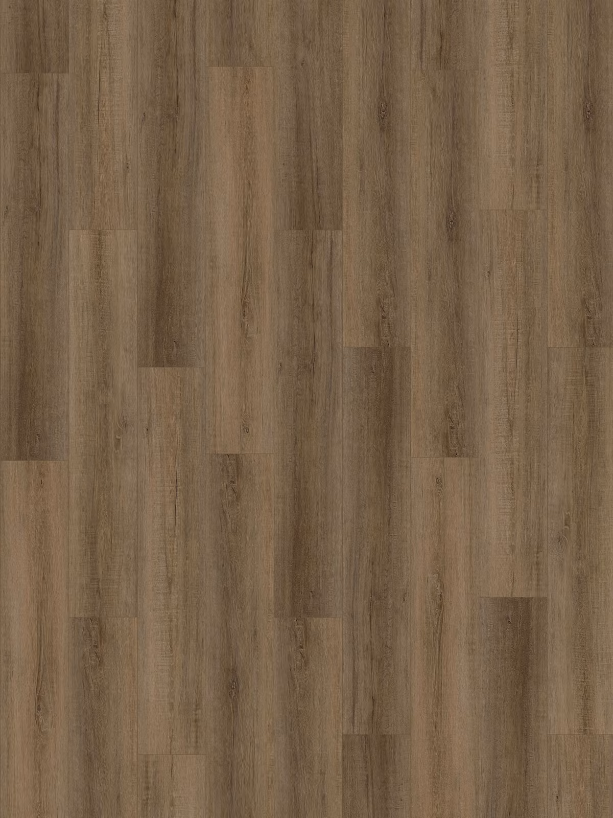 Umber Oak